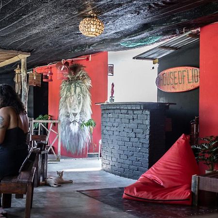 House Of Lion Hostel Pantai Cenang  Exteriör bild